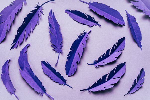 Comment coller des plumes sur du papier?