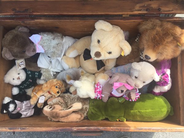 Peluches loutre : Ajoutez une touche de douceur à votre quotidien !